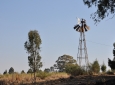 Old Windmill