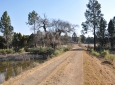 Approaching the farmstead