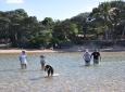 Getting to Kosi Bay beach