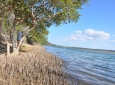 Snorkelling at Kosi Bay