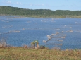Kosi Bay fish kraals